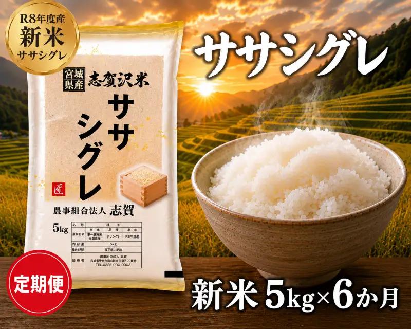 希少 新米 定期便 6ヶ月 令和8年産 ササシグレ 10kg  精米