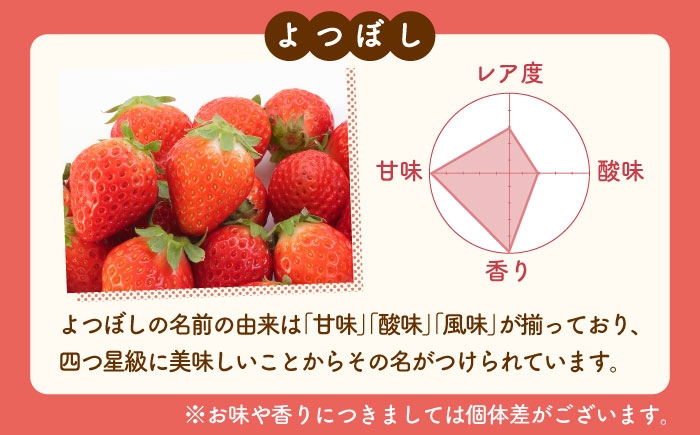 贅沢いちごの詰め合わせ！
