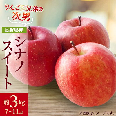 【ふるさと納税】【2026年発送】フルーツ王国　長野県産 りんご　シナノスイート　約3kg(7～11玉程度)_ りんご 林檎 果物 くだもの フルーツ シナノスイート 長野県 産地直送 送料無料 お取り寄せ ギフト 贈答 プレゼント 信州 【1541938】