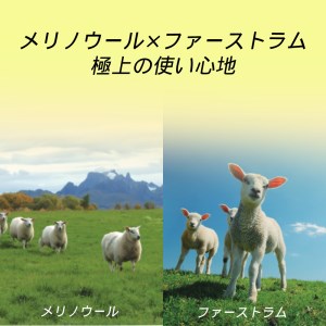 H160(グリーン・200×250cm)　4色2サイズから選べる　メリノウール仕様　ウール100%ラグ　【4：グリーン(200×250cm)】