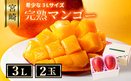 【先行予約/数量限定】完熟マンゴー ３L×２玉（化粧箱）宮崎 高級 果物 フルーツ 濃厚 ギフト のし 贈答 先行受付 送料無料【JA綾町】_A0114-235