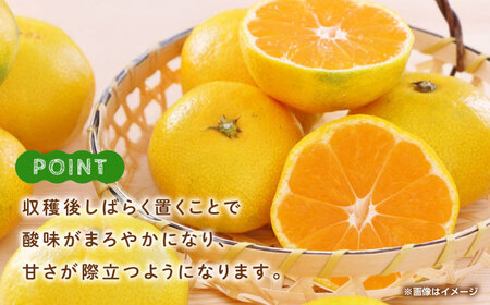 早生みかん　約4.5㎏ 【くまふる】[ZBG082]