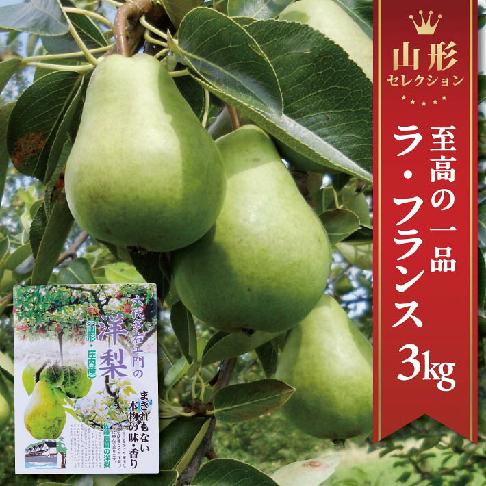 【ふるさと納税】西洋梨 特選 ラ・フランス 2L～3L 約3kg（9〜10玉）山形セレクション 化粧箱入り 山形県酒田産 11月中旬〜12月上旬頃お届け ※着日指定不可 東北 山形県 酒田市 庄内地方 六代多右ェ門 ラフランス