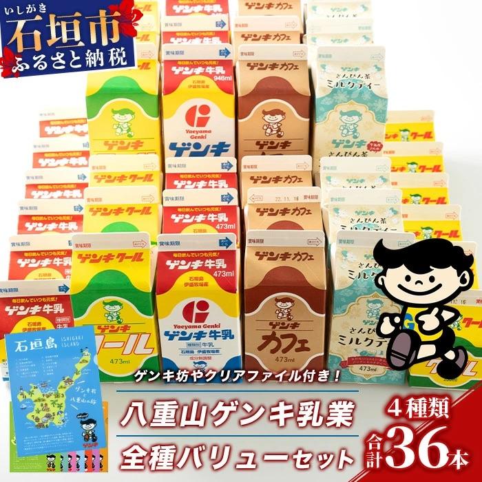 ふるさと納税 石垣市 【ふるさと納税限定】八重山ゲンキ乳業 全種バリューセット