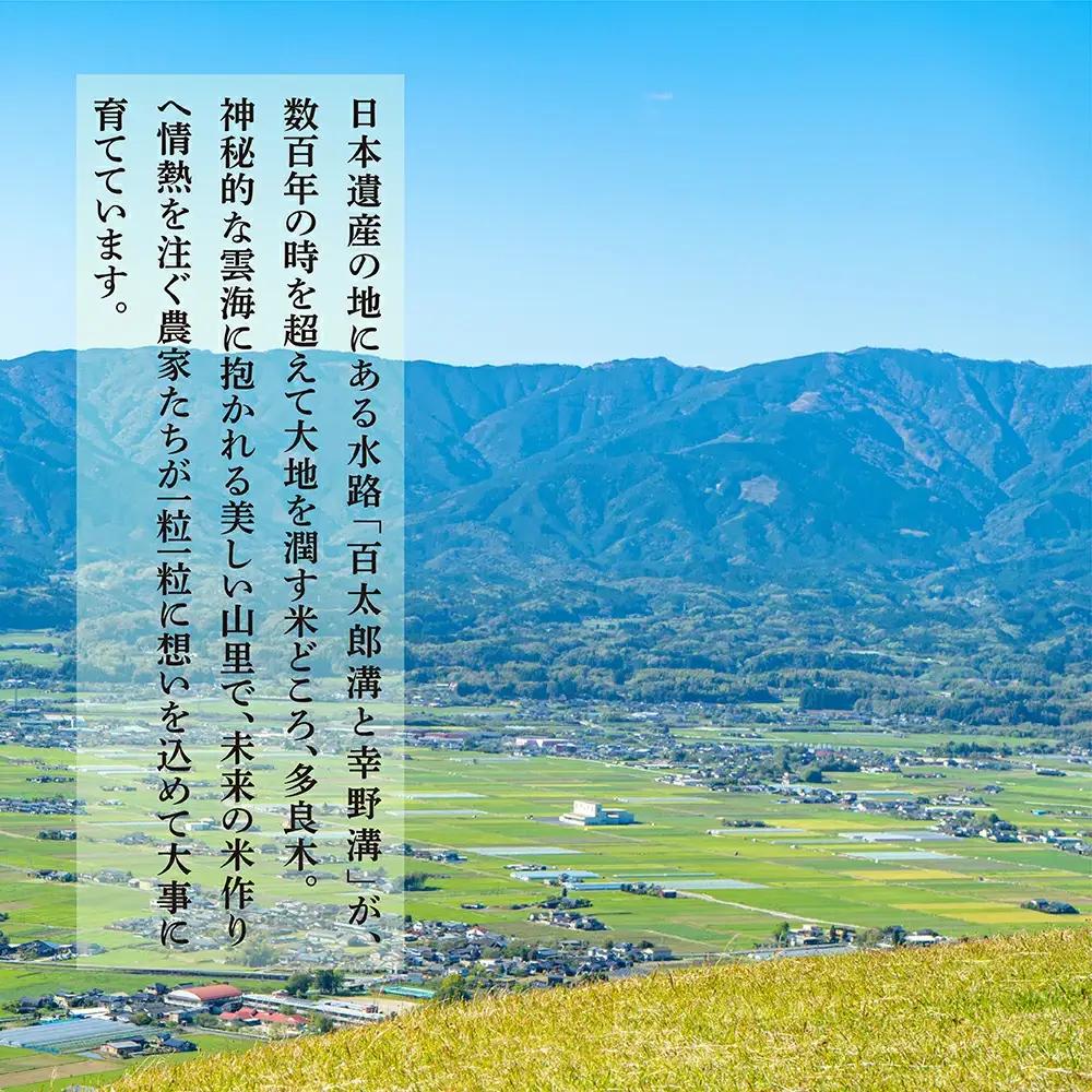 【令和7年産米】受賞米 こめたらぎ にこまる 精米 10kg (5kg×2袋) 米 お米 10月中旬～発送 グランプリ受賞 白米 精米 ご飯 こめらたぎ にこまる 名産地 多良木町産 ふっくら 044