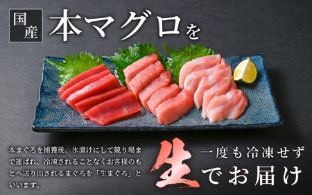 まぐろの王様！生本マグロ！まぐろ三昧おひとり様ミニセット合計150g前後（赤身・中トロ・大トロ各約50g） [e04-a122] 