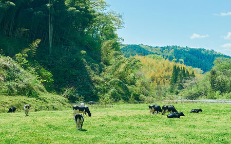 木次ミルクコーヒー1000ml 牛乳 コーヒー牛乳 ミルク 乳製品 飲料 コーヒー 島根県雲南市/木次乳業有限会社[AIBH036]