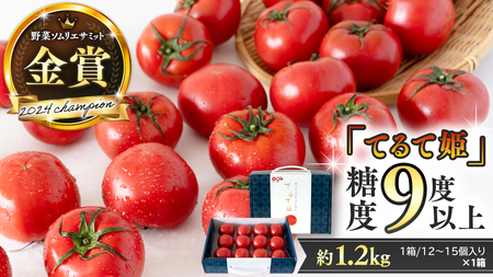 【9/30まで早期予約 特別寄附金額】 《 テレビで紹介 》 糖度9度以上 スーパーフルーツトマト てるて姫 中箱 約1.2kg × 1箱 【12〜15玉/1箱】 2026年収穫分 先行予約 フルーツトマト ブランドトマト 野菜 ギフト 贈答 青空レストラン アド街ック天国 グッドモーニング 黄金のワンスプーン