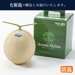 メロン 温室 アローマ 果物 ハウス 白等級 1玉 GABA (a16-148)
