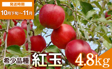 希少価値高い！紅玉 4.8kg りんご 林檎 果物 フルーツ【田村果樹園】[B6-10803]