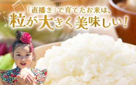 【令和7年産】《定期便6回》ワルツ農場の直播き コシヒカリ クリーン精米（無洗米） 5kg（計30kg） / お米 ご飯 白米 発送直前 精米 つや 艶 甘味 旨み あわら市産 福井県産 慣行栽培 コ