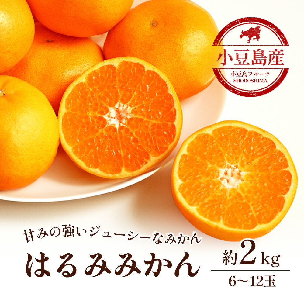 【ふるさと納税】【 小豆島 】小豆島　はるみみかん　約2kg　お届け：2026年2月上旬～2026年3月中旬