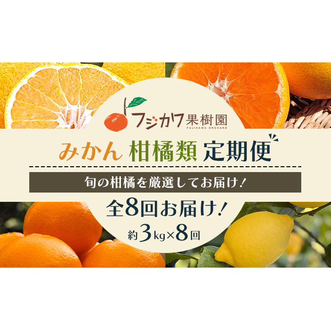 【8回 頒布会】みかん 柑橘類 定期便 彩り柑橘 8回 フルーツ フジカワ果樹園セレクト 果物