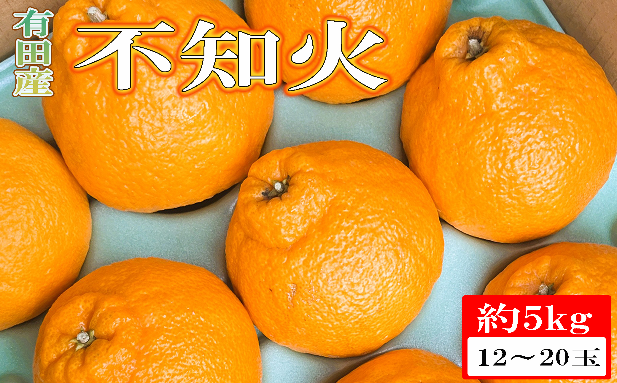 【濃厚】有田の不知火約5kg（12玉～20玉おまかせ） ※2027年2月中旬～2027年4月中旬頃に順次発送予定（日付指定不可）【tec861A】