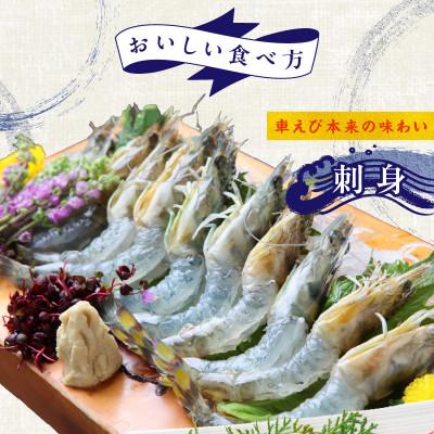 ふるさと納税 泉佐野市 【生食可】泉州車えび 300g 訳あり サイズ不揃い 先行予約 G2185 |  | 03