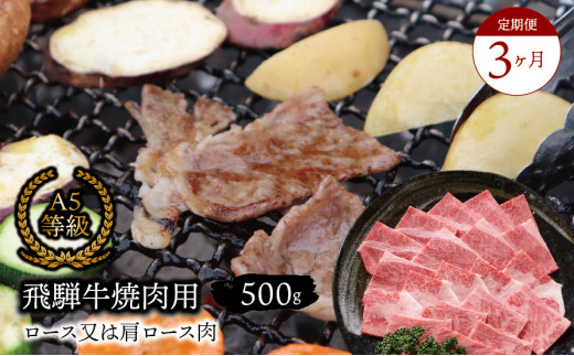 【３ヶ月定期便】A5等級飛騨牛焼肉用500ｇロース又は肩ロース肉 2025/9/19～