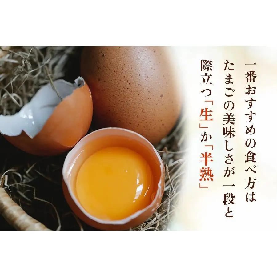 【定期便2回】高原名水 卵 30個｜豊かな自然で育ったアスタキサンチン含有の高原名水卵【感動の甘さと濃さ】栃木県 矢板市高原養鶏場 矢板市産 
