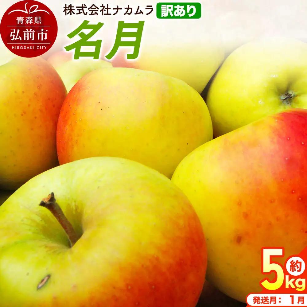 【27年1月発送】りんご 名月【訳あり】約5kg（14～23玉程度）先行受付 青森県産 林檎 リンゴ 果物 くだもの フルーツ 青森県 弘前市 不揃い 規格外