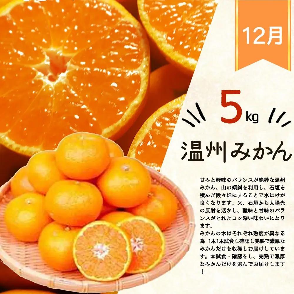 【全3回】紀州和歌山産旬のフルーツ定期便 (桃・柿・みかん) 【tkb383】