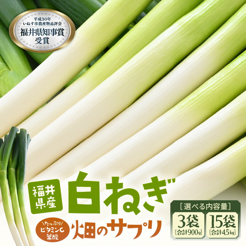 【ふるさと納税】【先行予約】ビタミンCと葉酸たっぷり「畑のサプリ白ネギ」【選べる内容量：3袋/15袋】 【2025年11月以降順次発送予定】【長ネギ 長ねぎ 葱 長葱 白葱 野菜 鍋 贈答 ギフト】
