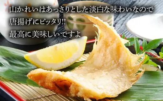 干物 甘干し山かれい2kg（15枚入り）干物の本場 香住産 冷凍 08-06