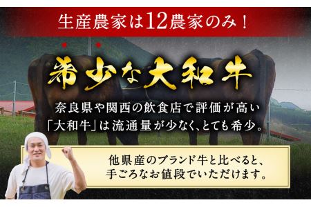 希少和牛肉 大和牛ヒレステーキ用【年末年始12月26日?1月7日の着日指定不可 】牛肉 特上牛肉 特選和牛 ヒレ 黒毛和牛 ステーキ 肉 国産牛肉 ジューシー 肉 牛肉 旨いお肉 ステーキ 肉 牛肉 