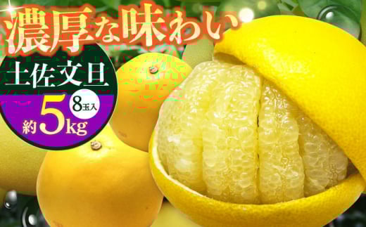 【先行予約】南国高知温室土佐文旦 約5kg 8玉〈2025年11月中旬～2026年2月中旬頃発送〉/ 文旦 ぶんたん フルーツ 果物 5キロ 高知県 【フルーツショップオザキ】[ATAH015]