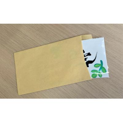ふるさと納税 碧南市 【世界にたったひとつの贈り物シリーズ】 筆文字 名前カード(額なし) H144-014 |  | 02