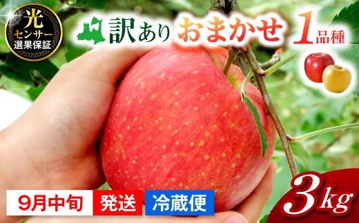 【2026年9月中旬発送】おまかせ 訳ありりんご 約 3kg 青森 |選べる配送時期|  りんご 青森 五所川原