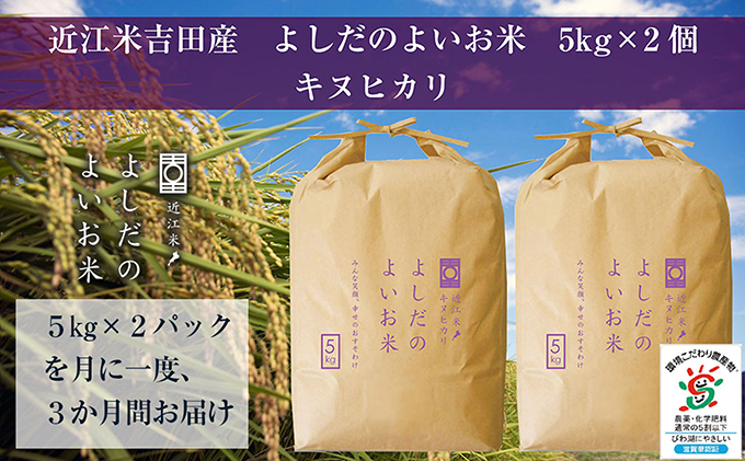 【新米】【定期便】令和6年産　よしだのよいお米 近江米キヌヒカリ　10kg×3回