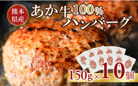 117-49　オアシス九州　熊本県産あか牛ハンバーグ150ｇ×10個