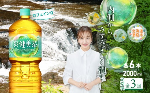 『定期便：全3回』爽健美茶2000mlPET×6本