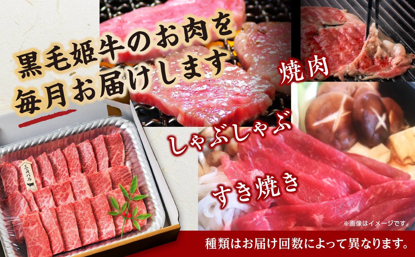 【定期便】焼肉・しゃぶしゃぶ・すき焼きセット（全12回）【Meat you Kitchen姫ファーム】