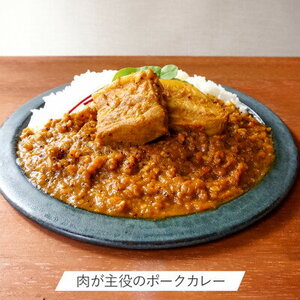 ポークカレー・チキンカレー2種セット(各2食入り)【配送不可地域：離島】【1372126】