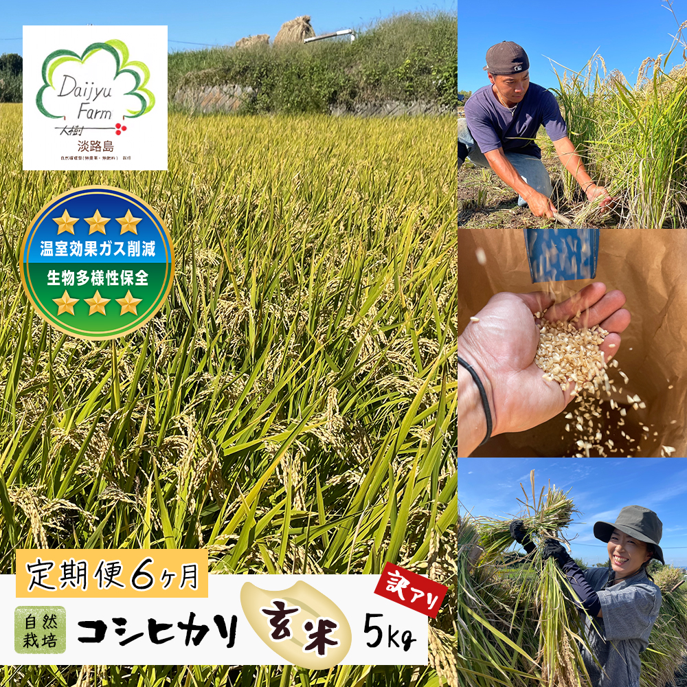 【定期便6ヶ月】自然栽培　コシヒカリ（玄米）　5kg 《無選別品のため訳アリ》