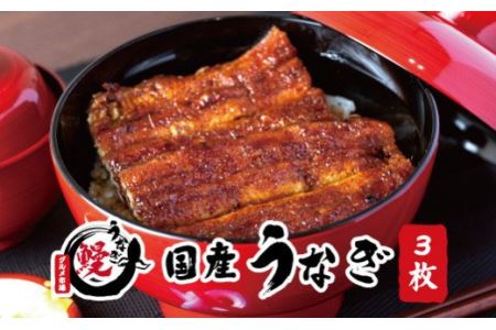 国産うなぎ 関西風蒲焼 大サイズ３枚(合計約450g)薬味付【古座川グルメ市場】【miw106】