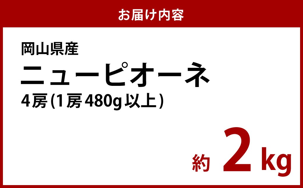 岡山県産 ニューピオーネ  4房