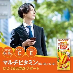 【 定期便 4ヶ月連続お届け 】 カゴメ 野菜生活100 マンゴーサラダ 200ml×24本 ジュース 野菜 果実ミックスジュース 果汁飲料 紙パック 砂糖不使用 1食分の野菜 マルチビタミン ビタミ