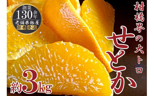 
柑橘界の大トロ！せとか約３ｋｇ
