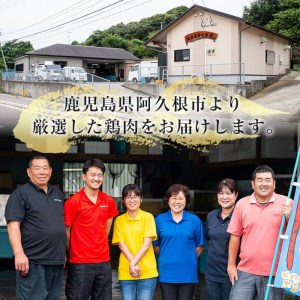 鹿児島県産！ムネ肉(計3kg・500g×6P) 国産 鹿児島県産 鶏肉 肉 お肉 ムネ肉 むね肉 胸肉 南国元気鶏 小分け 小パック【さるがく水産】a-12-80