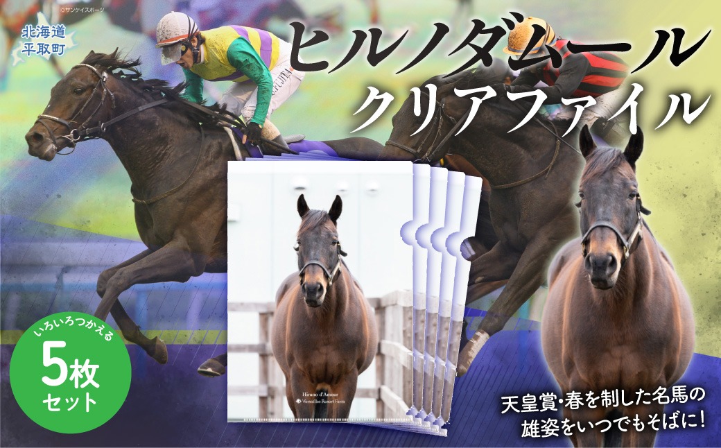 【ヒルノダムール】クリアファイル 写真5枚入り BRTV303