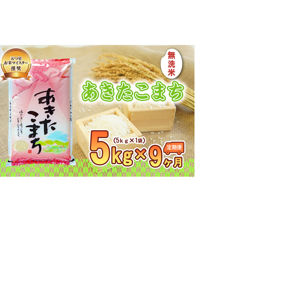米 定期便 9ヶ月 あきたこまち 無洗米 5kg お米 精米 白米 こめ コメ おこめ ごはん お米マイスター 推奨 ブランド米 常温 国産 岩手県 岩手 盛岡市産 定期 お楽しみ 9回