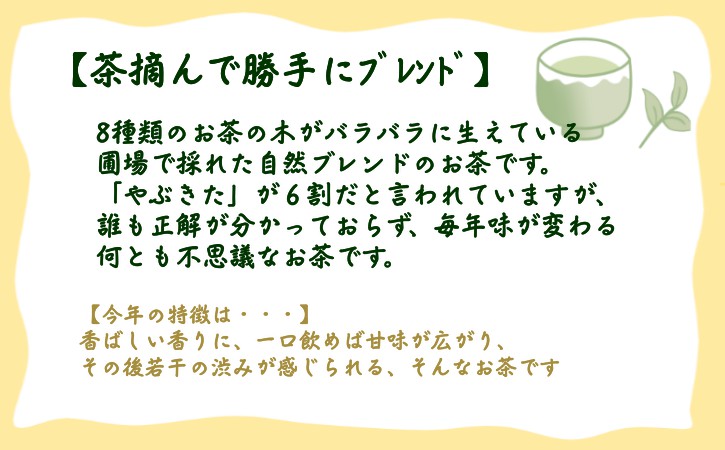 種子島 射場貴大 茶園 「松寿」＋「極上」＋「茶摘んで勝手にブレンド」 茶園 オリジナル セット　NFN572【325pt】