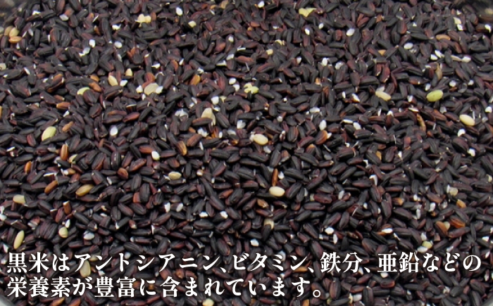 おすすめ オススメ こだわり ギフト 人気 特産品 贈り物 ギフト  