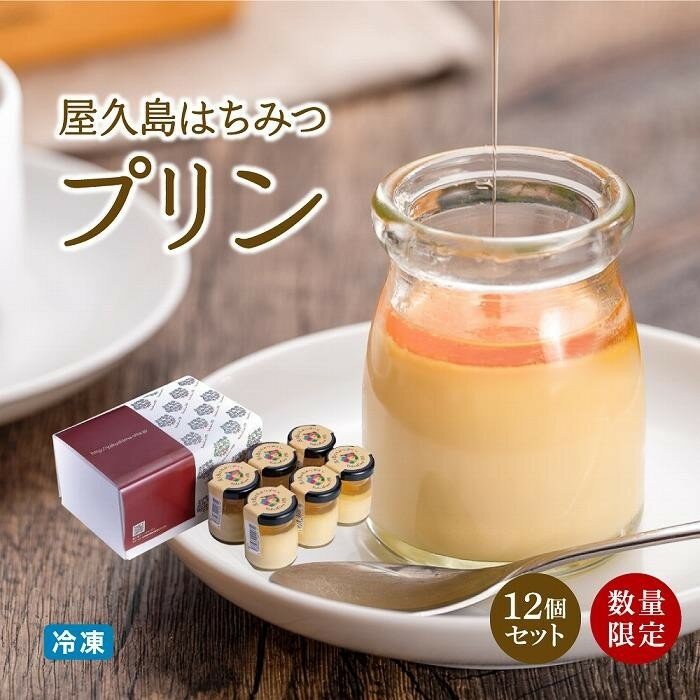 【ふるさと納税】【数量限定】屋久島はちみつ冷凍プリン12個セット | 屋久島 スイーツ お菓子 冷凍 プリン ぷりん 蜂蜜 卵 楽天ふるさと お取り寄せ おかし お土産 鹿児島県 屋久島町 人気 おすすめ 屋久島ヴィータキッチン