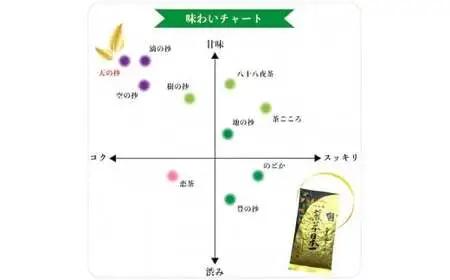 自社製造の深蒸しの八女茶！当園の最高級品！天の抄（てんのしょう）100g入り3袋入り 008-034