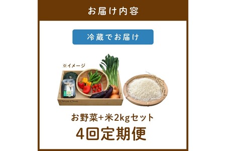 【定期便】合計4回お届け 有機野菜・京野菜の『京都やおよし』のお野菜と米2kgの詰め合わせ