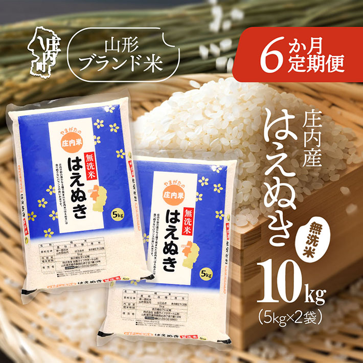 ＜2月中旬発送＞庄内米6か月定期便！はえぬき無洗米 10kg（入金期限：2026.1.25）