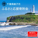 【ふるさと納税】 千葉県 銚子市 ふるさと 応援寄附金 250000円 返礼品なし （ご寄附のみとなります）