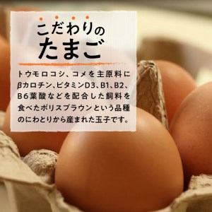 ☆彡9か月定期便☆彡　北杜のたまご（30個入） [h199]